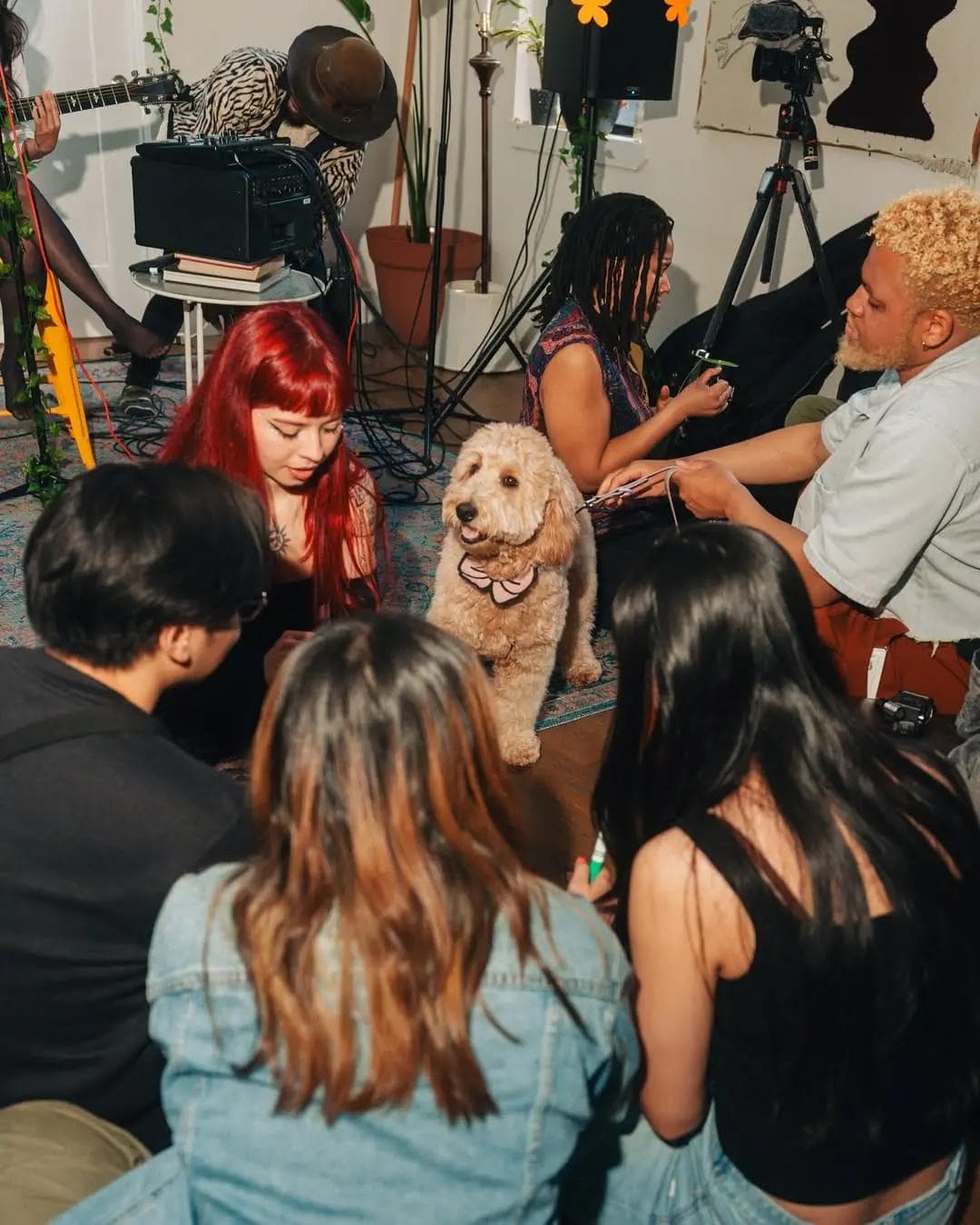 Group of people sitting on the floor at a cozy indoor event, with a fluffy dog in the center.